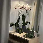κimiro Tsilivi Hotel
