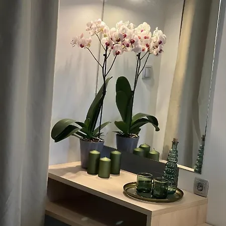 κimiro Tsilivi * Plános