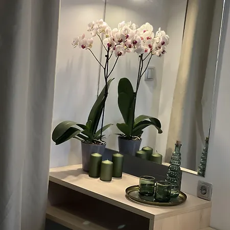 κimiro Tsilivi Hotel