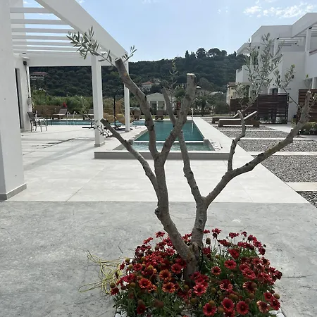 Hotel κimiro Tsilivi *